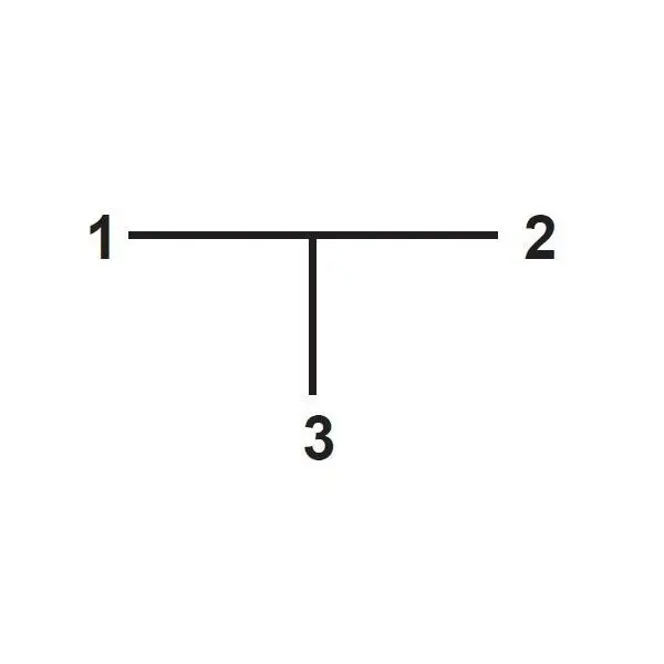 te-espiga-central (1).webp