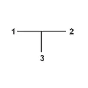 te-espiga-central (1).webp